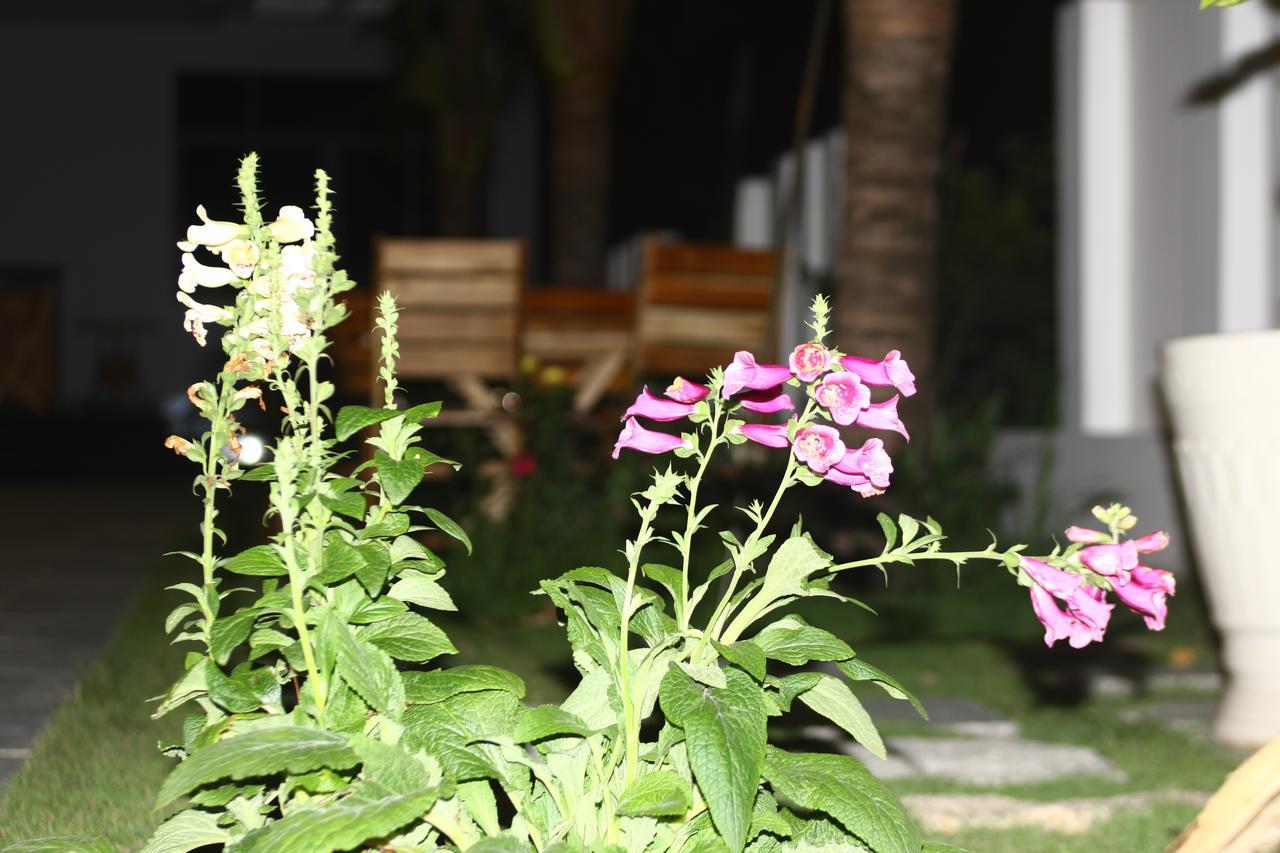 Ocean View Hotel Nha Trang Zewnętrze zdjęcie